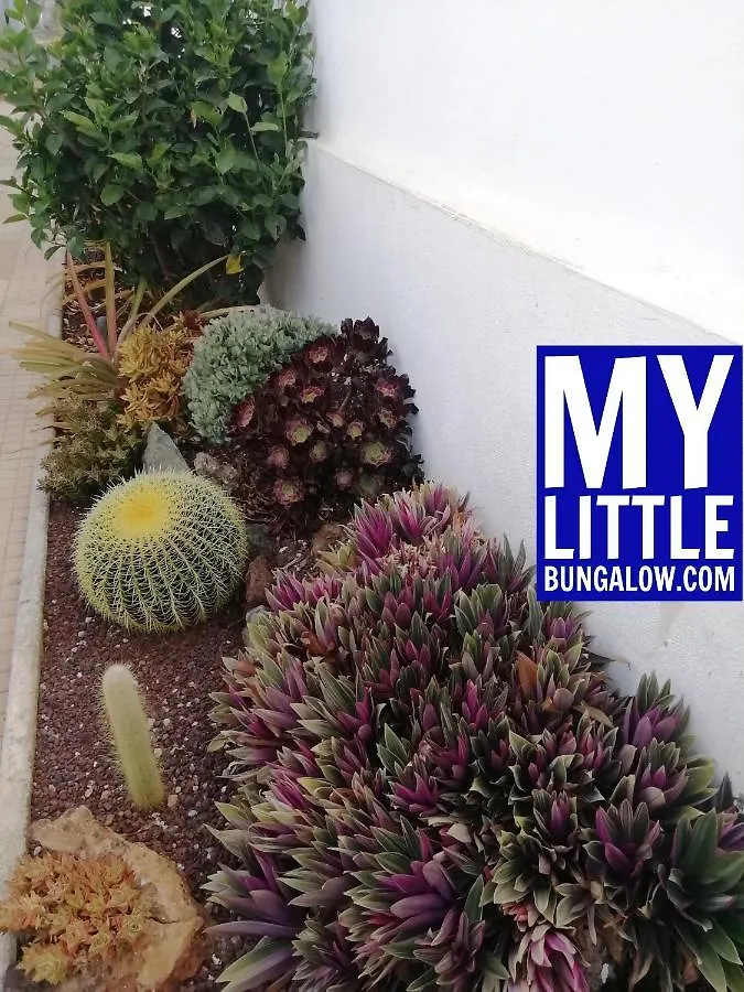 度假居 My Little Bungalow 滨海帕尔姆 西班牙